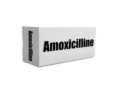 Amoxicilline